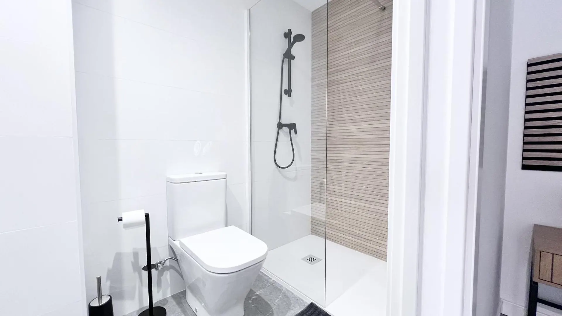 Ferrandiz 46 Apartment Malaga Spain